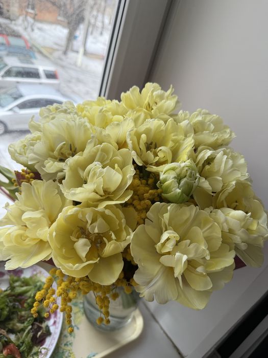 Продам Свежие цветы