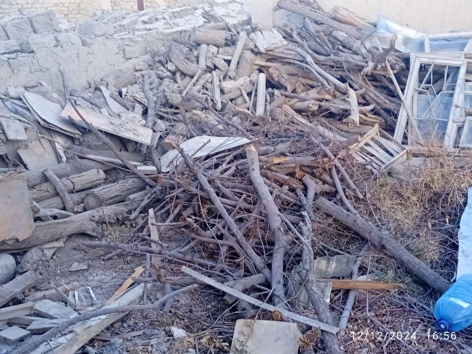 Oʻtin daraxtniki sotiladi