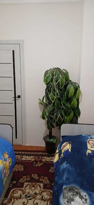 3-Xonali uy sotiladi 3 хонали квартира сотилади