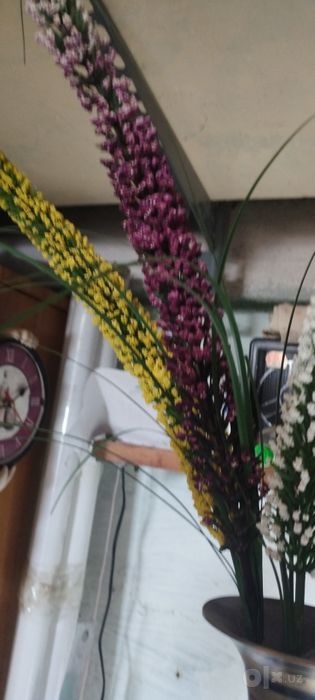 Продам цветы интерьер Греция