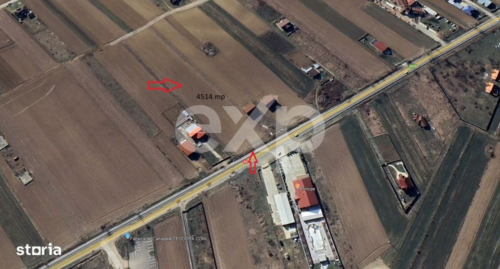 Teren intravilan 4514 mp de vanzare, Luizi Calugara