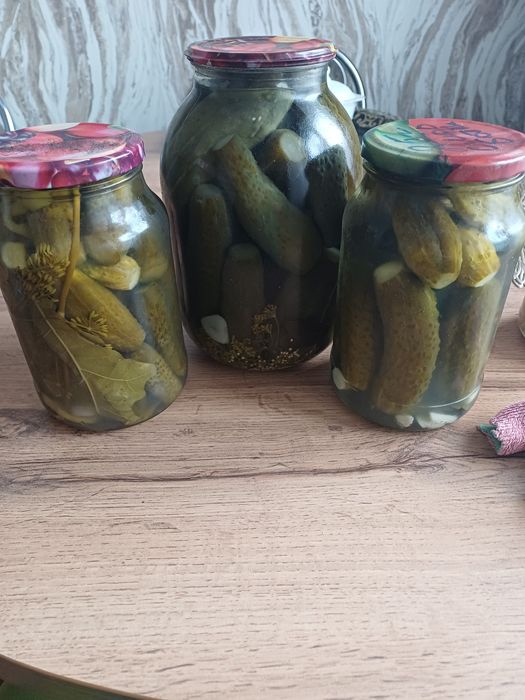 Продам соленья 2025 года