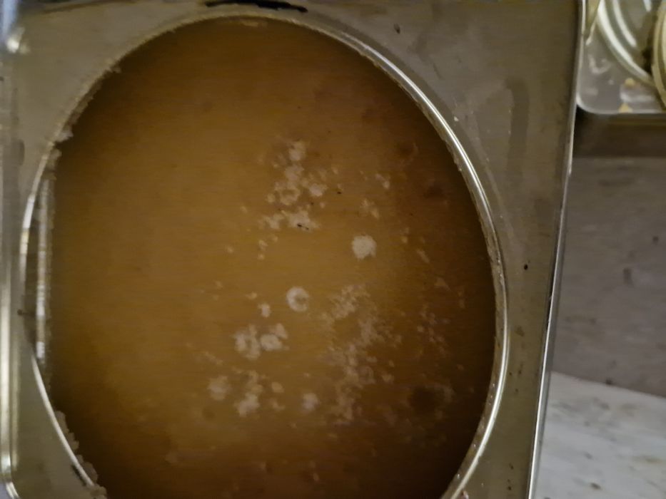 Пчелен билков мед 2025г за Казанлък безплатна доставка