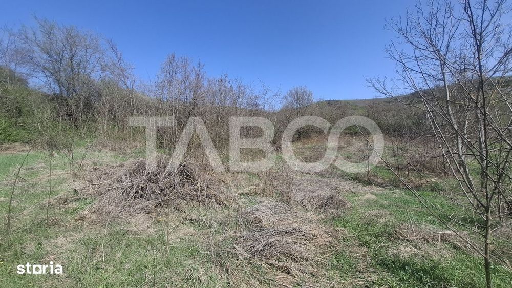 Teren intravilan de vanzare 1450 mp Slimnic Sibiu