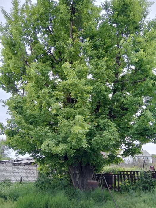 Продам частный  дом.