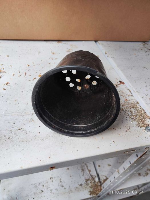 Кофички за разсад