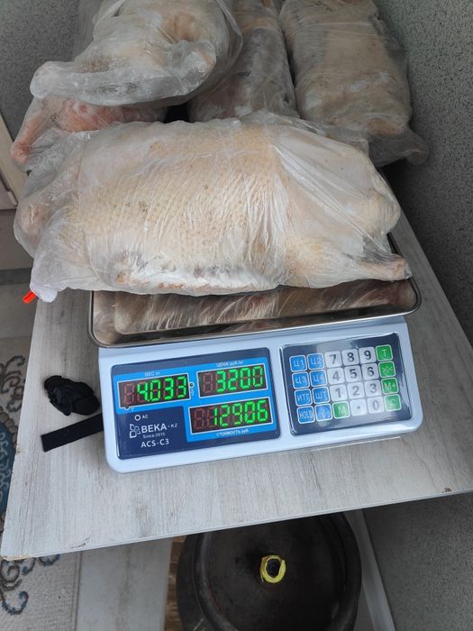 Продам домашних гусей