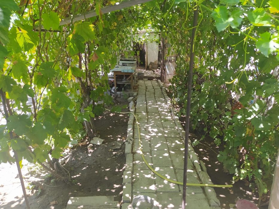 Продаётся дом с участком