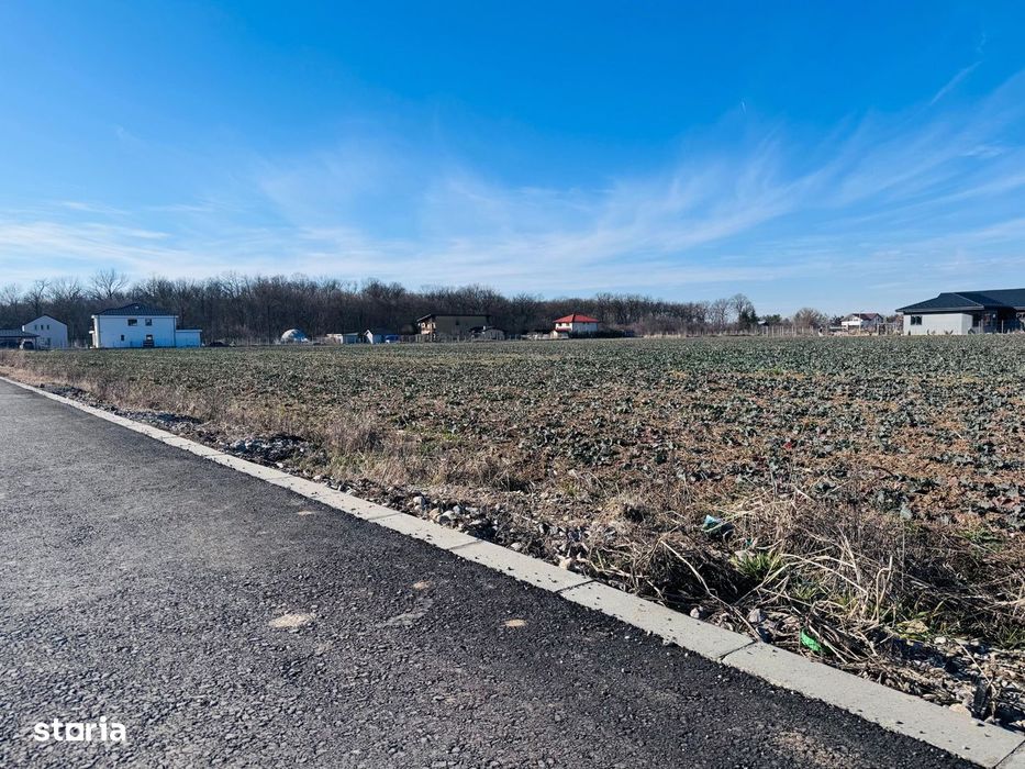 Teren Ciofliceni lângă pădure,Utilități complete Comision 0