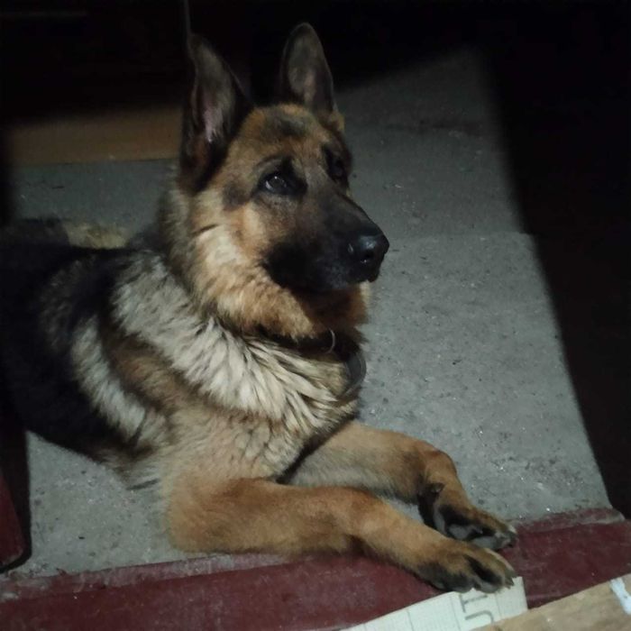 Вязка кабель немец