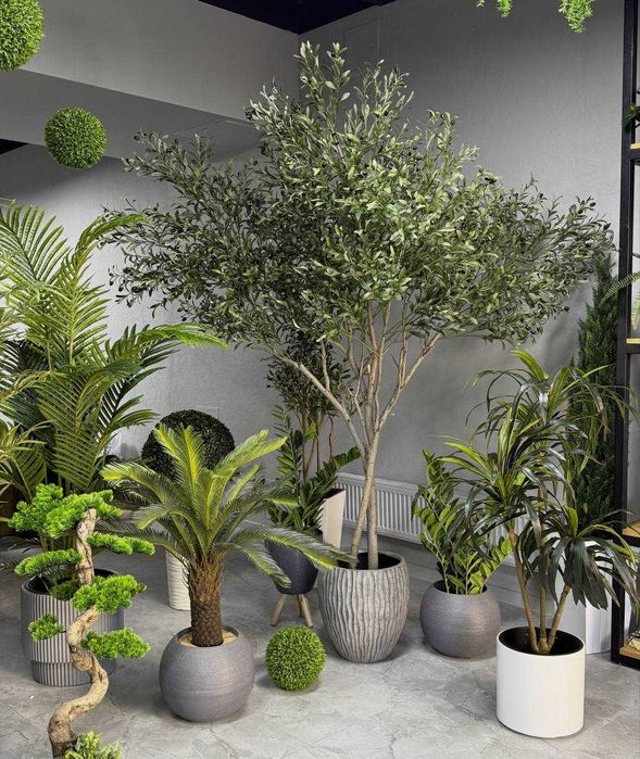 Искусственные растения, деревья,цветы бамбук.оливка.доллар