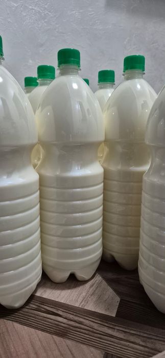 Продается молоко и  Айран домашний