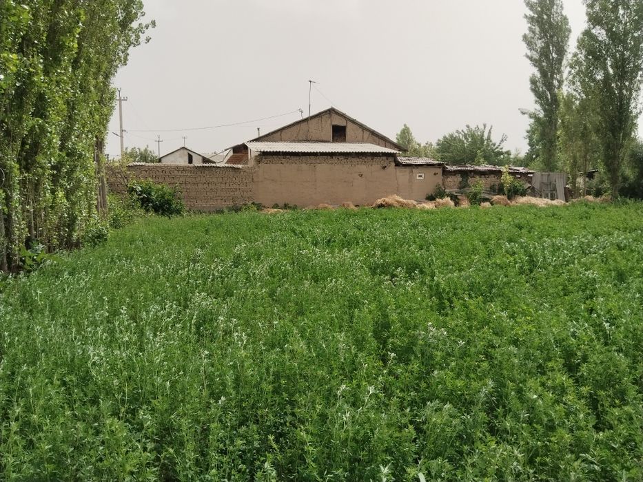 Yer sotiladi 4 sotix