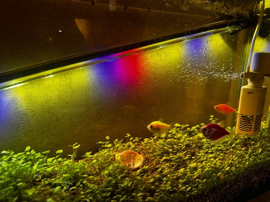 Аквариум с оборудованием