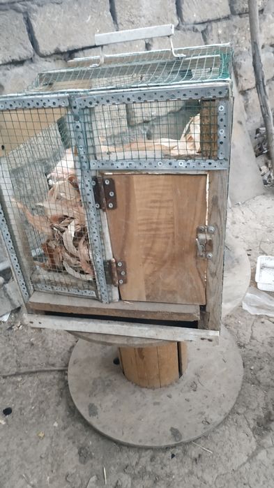 Сетка индаутка учун