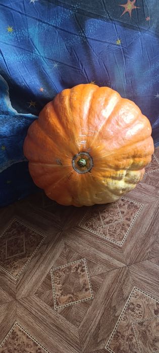 Продам , тыква 10 кг
