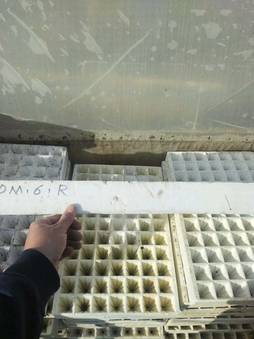 Табли за разсад 77 гнезда