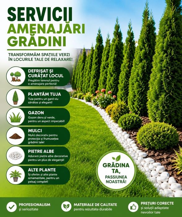 Curățare / Cosire / Plantare / Îngrijrire