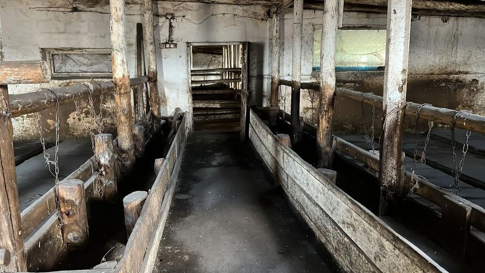 Продам кафе и животноводческий комплекс