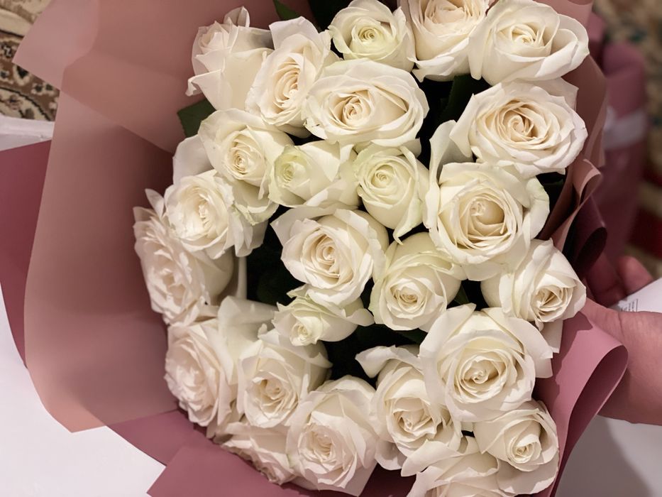 Беллые розы красивые