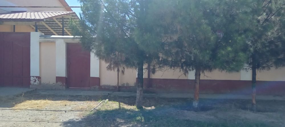 To'qmang'itda Kotej  sotiladi