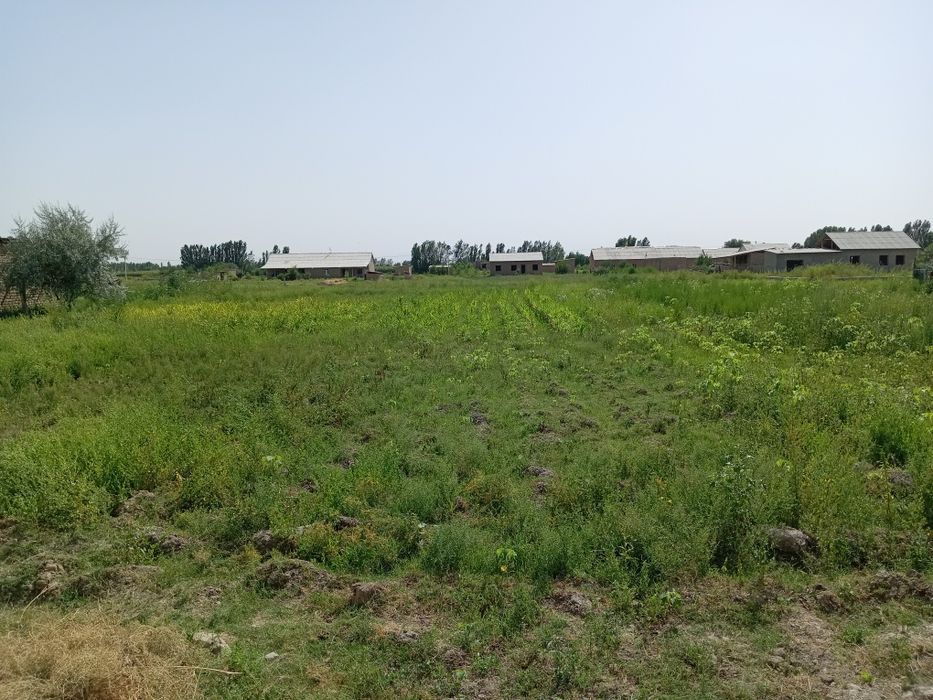 Uchaska yer sotiladi