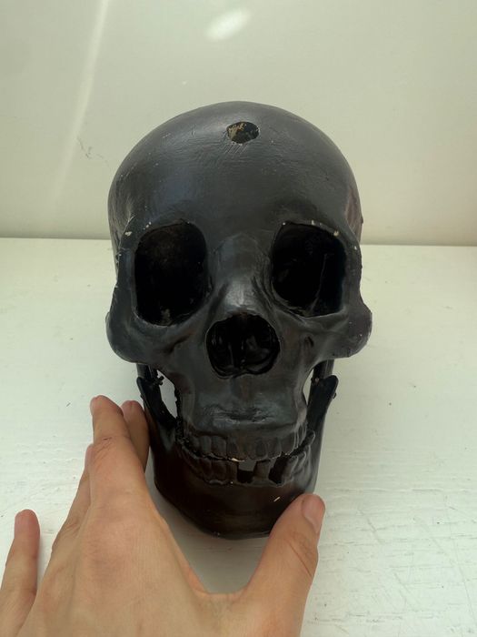 Череп Отливка на истински (модел) на човешки череп, украса за Хелоуин