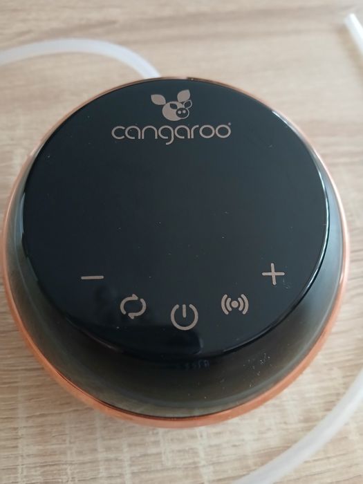 Електрическа помпа за кърма