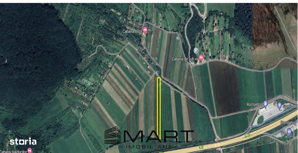 Teren extravilan 4800mp acces auto, Cristian