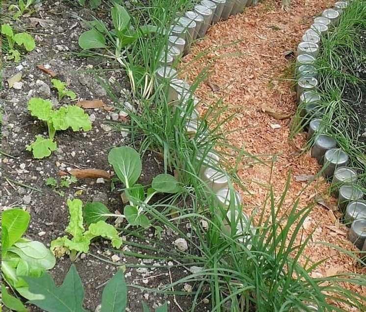 ЭКО Опилки апилка опилка опилки для тропинки, огорода, сад, Доставка