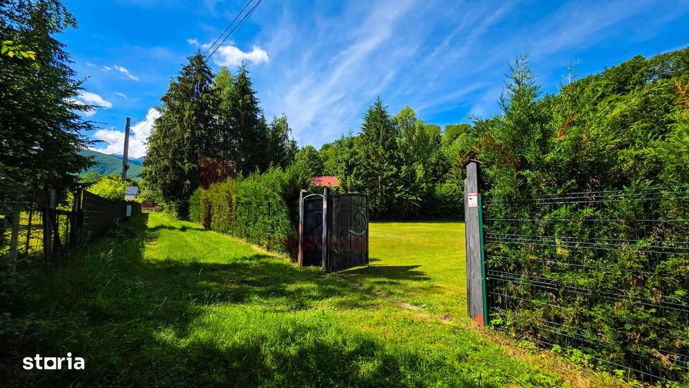 Proprietate Deosebita | Teren 3000 MP | Avrig | Acces Padure |VIDEO