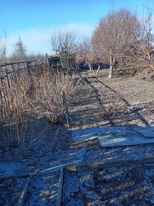 Продам дачу Союз, улица 17, дача 65