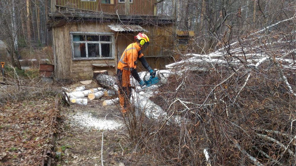 Спил дерево на даче