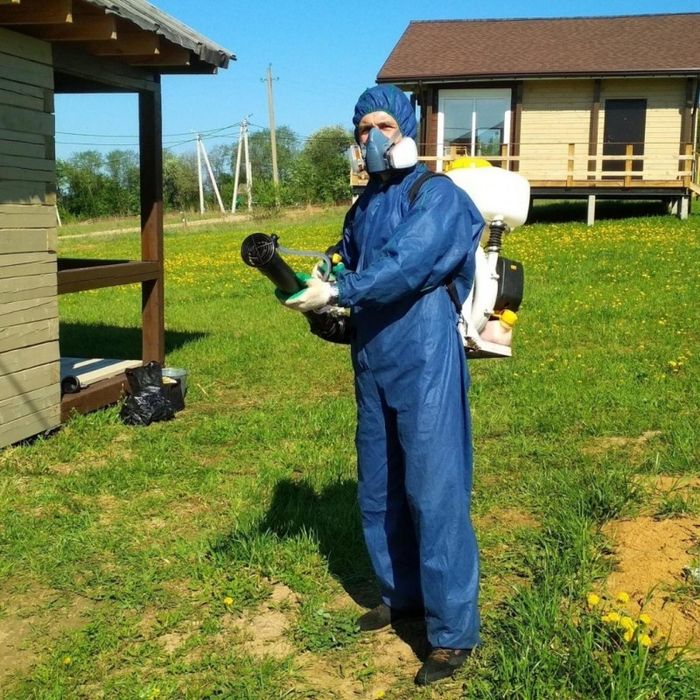 Уничтожение насекомых. Комплексная обработка от всех видов ползающих и