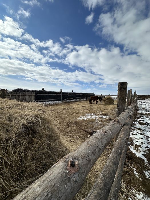 Крестьянское хозяйство