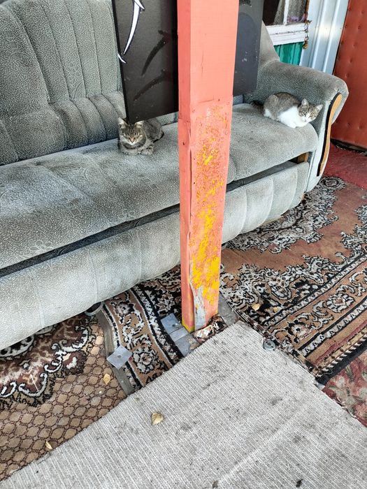 Продам срочно прекрасную Дачу