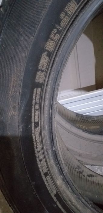 Каптива балони бор