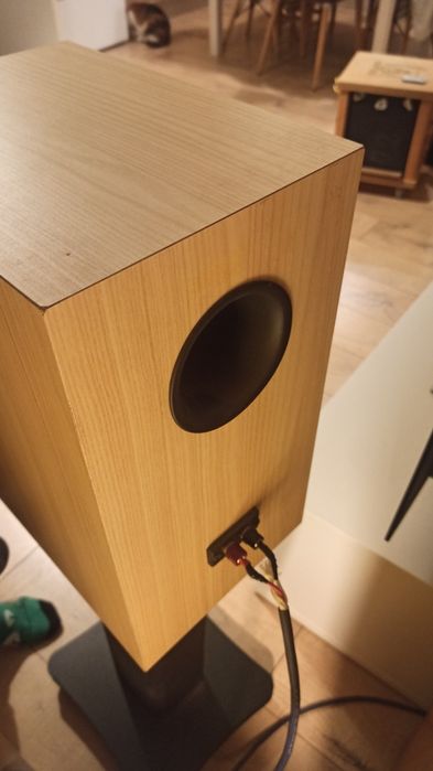 Exproject D2.1EX Swans HIVi Research DYNAUDIO + swans стойки