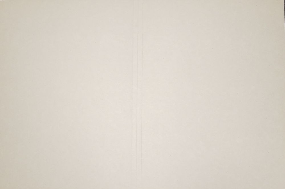 Скоросшиватель. Цена 45 . А не 100.