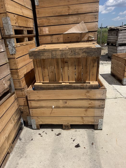 Boxpaleti 100x120