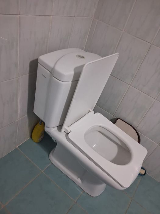 Туалет, домашнии туалет