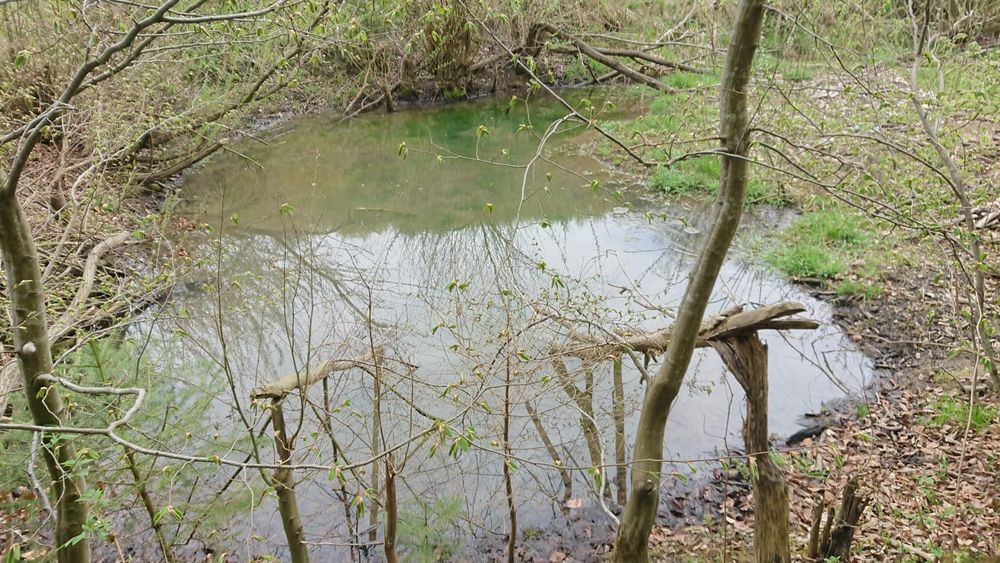 Teren de vanzare la munte valea bozumului