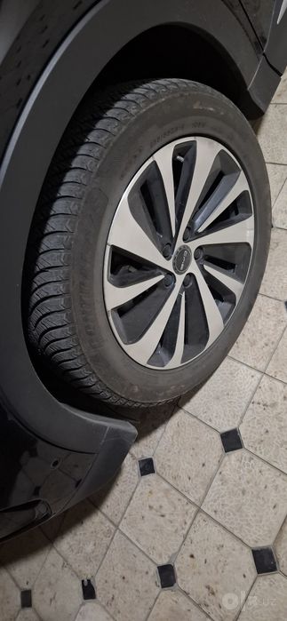 Byd chempion 2024  краска тоза