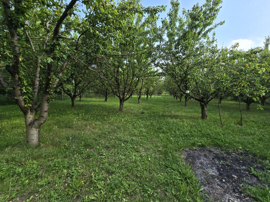 Продава се Парцел в Крън - 4000 кв.м за 19 €/кв.м - Снимка #1