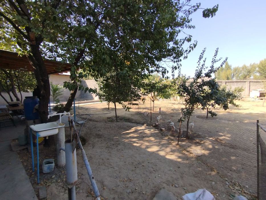 Yer sotiladi arayda. Beshbarmo nomer-1km o'tganda