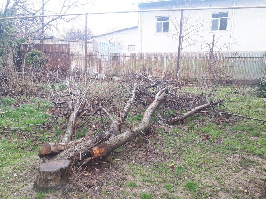 Продаються дрова-ветки