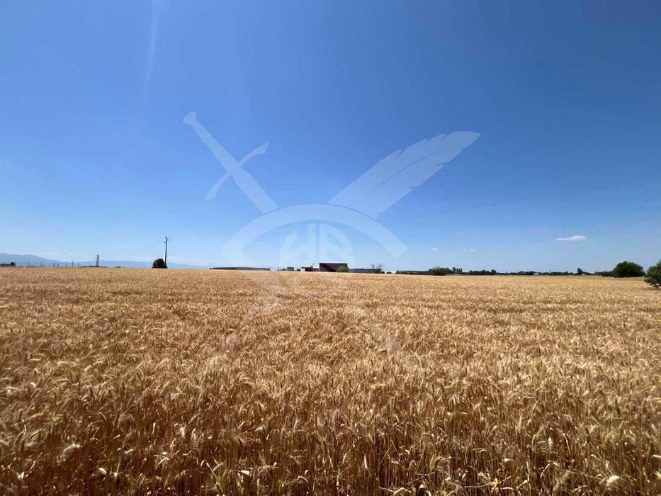 Продава се Парцел в с. Царацово, Област Пловдив - 2198 кв.м за 28 €/кв.м - Снимка #2