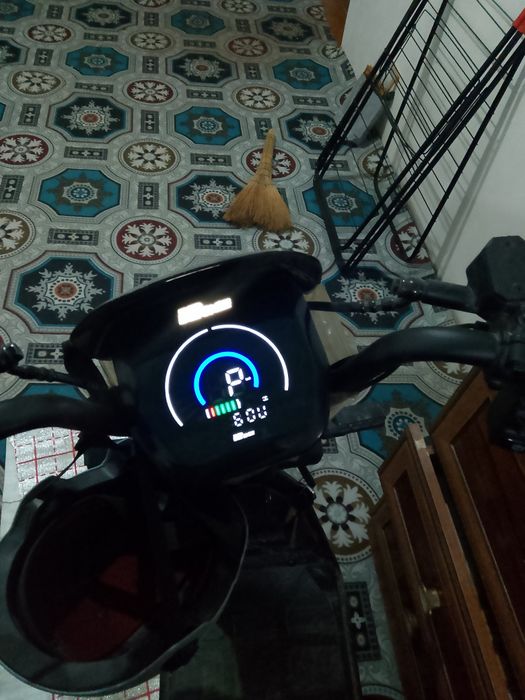 Sukutr Sotiladi Arzon Narxda