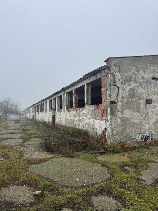 Vand/inchirez, teren si constructie in Podu Turcului/ Balanesti DN11A