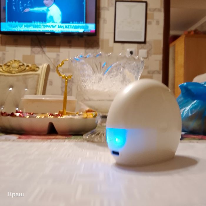 Слуховые апарат.